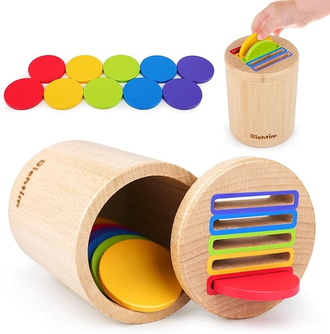 Richtim Montessori Toys for 1 2 3 Year Old: Wooden Color Sorting Coin Box Toys for Toddlers Age 1-3, Educational Learning Sensory Games for Baby Kids, 12-36 Month Old Boys Girls Matching Gifts